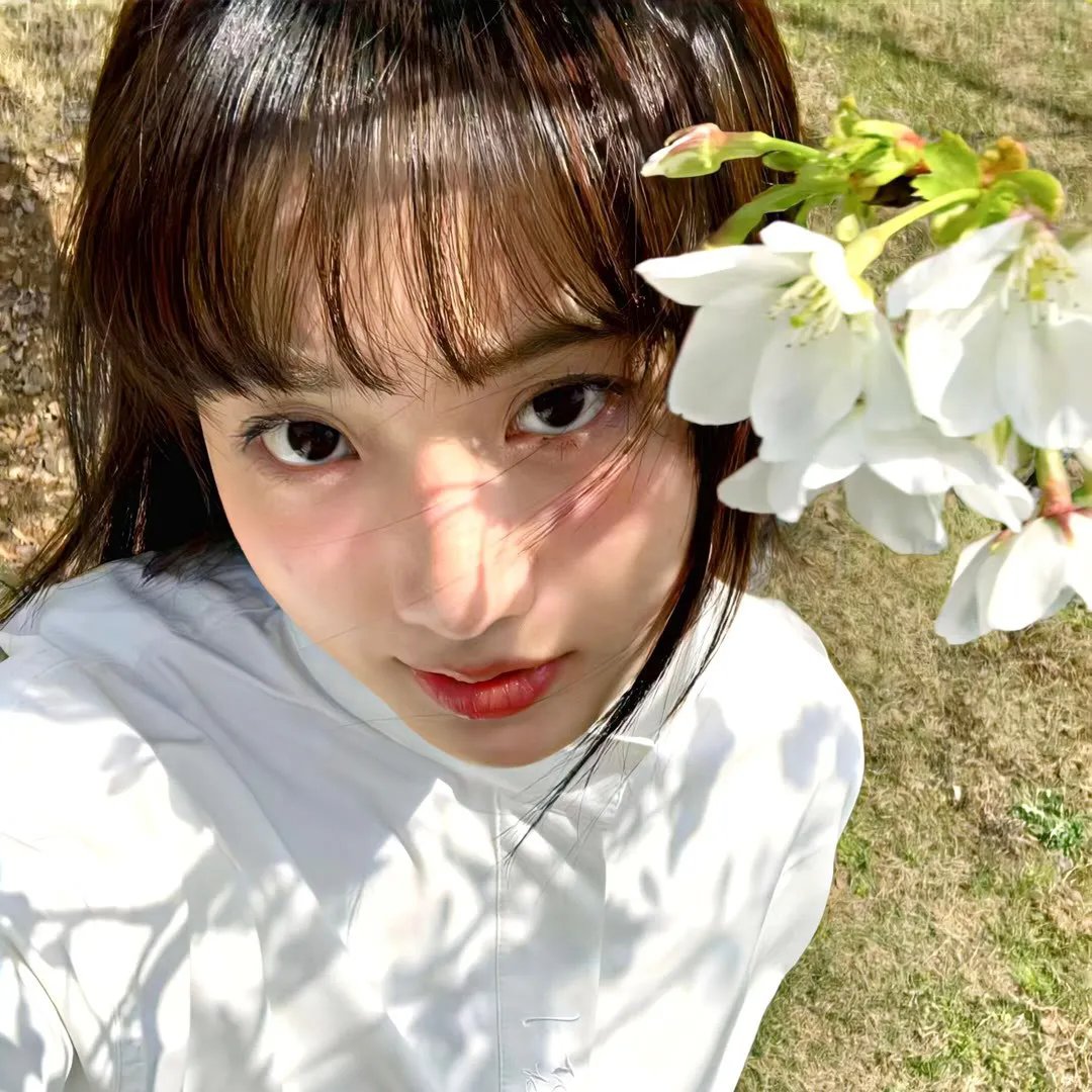 精装追女仔 封面