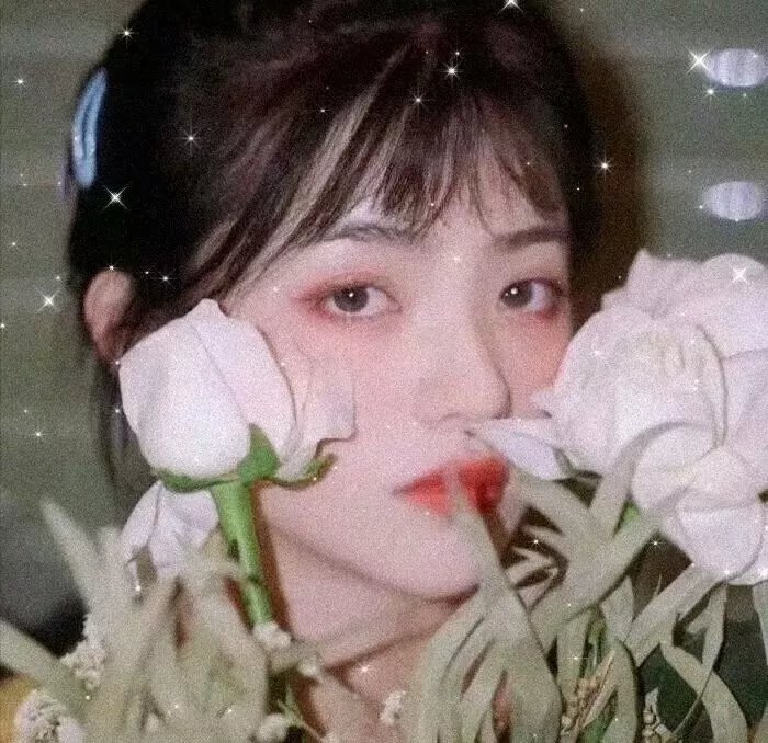 爱情与友谊 封面